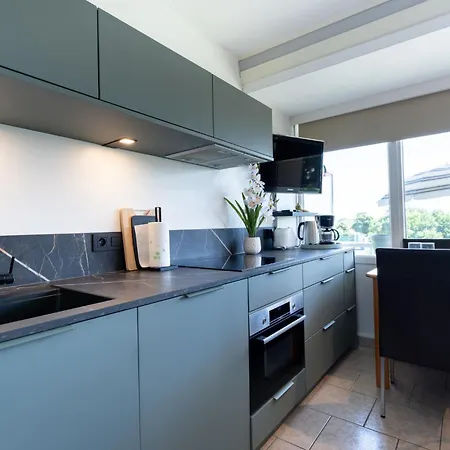 Joy By Interhome * De Haan